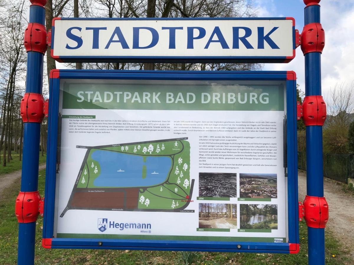 Exklusives Wohnen Am Stadtpark Bad Driburg Exteriér fotografie