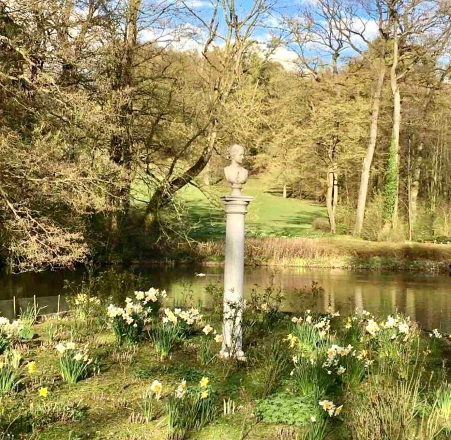 Exklusives Wohnen Am Stadtpark Bad Driburg Exteriér fotografie